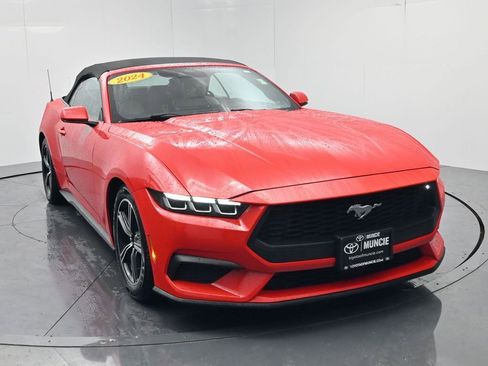 Used 2024 Ford Mustang Premium image 2