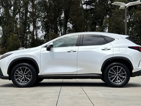 Used 2024 Lexus NX 350h AWD image 2