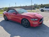 Used 2018 Ford Mustang Premium w/ Equipment Group 201A image 5