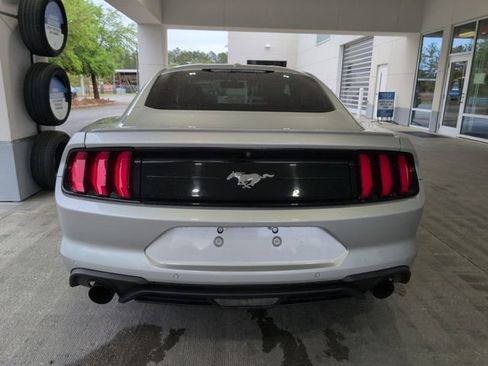 Used 2019 Ford Mustang EcoBoost w/ Equipment Group 101A image 3