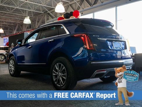 Used 2023 Cadillac XT5 Premium Luxury image 3