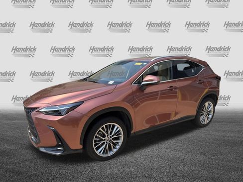 Certified 2025 Lexus NX 350 AWD w/ Cold Area Package image 5