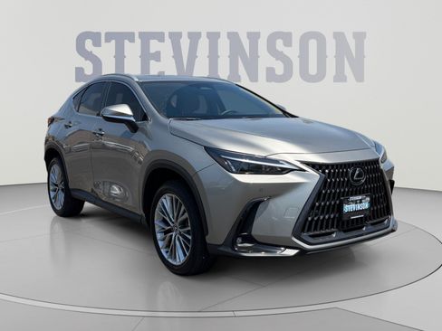 Used 2025 Lexus NX 350 AWD w/ Accessory Package (2T) image 7