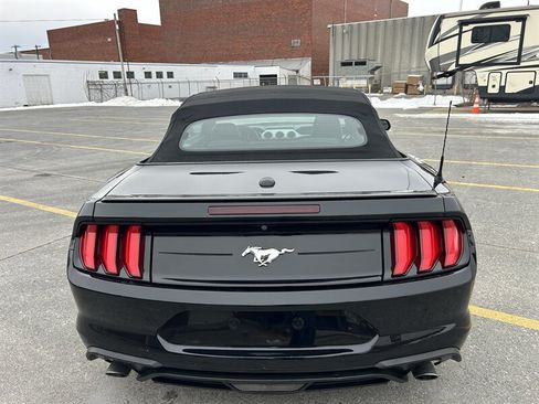 Used 2018 Ford Mustang Premium RWD image 4
