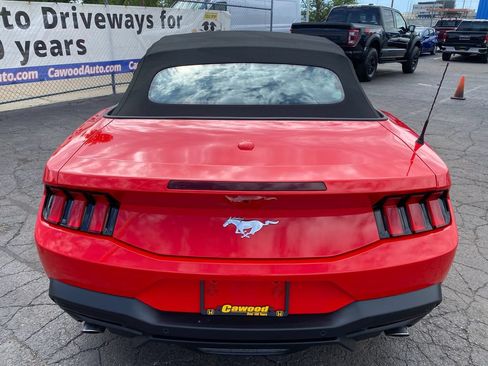Used 2026 Ford Mustang Convertible RWD image 10