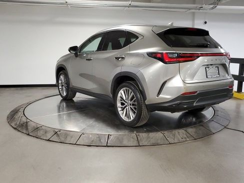 Used 2023 Lexus NX 300h 350h Luxury image 6