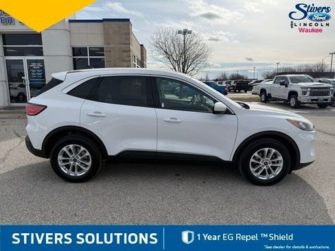 Used 2020 Ford Escape SE image 4