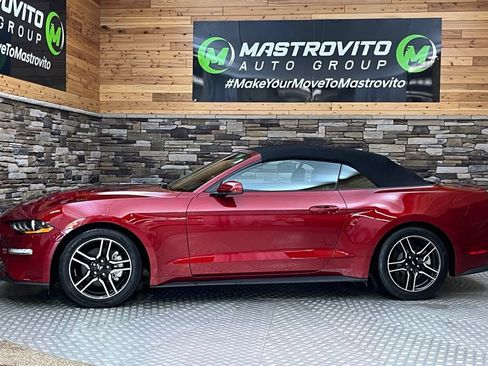 Used 2019 Ford Mustang Convertible w/ Equipment Group 101A RWD image 12