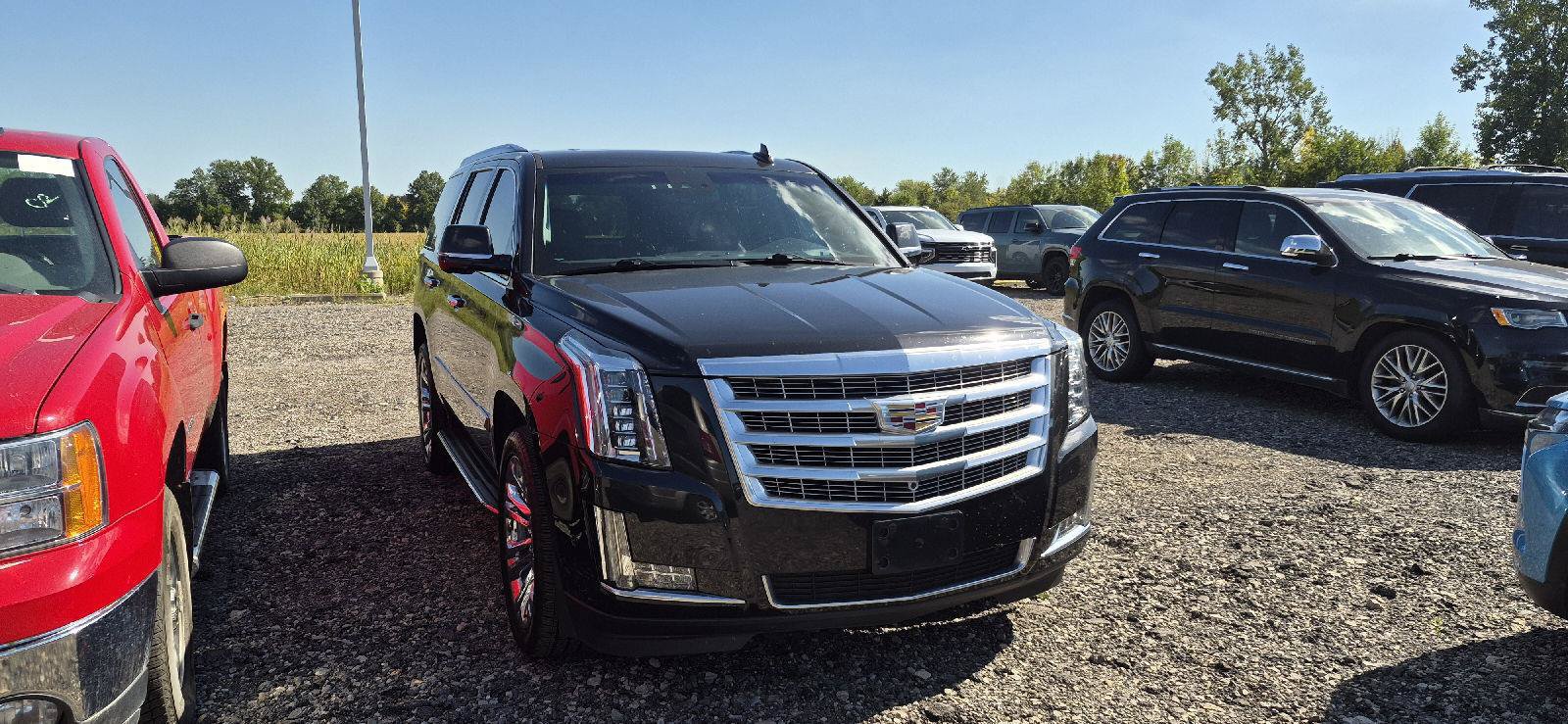 Used 2019 Cadillac Escalade Luxury w/ LPO, Radiant Package AWD/4WD image 2