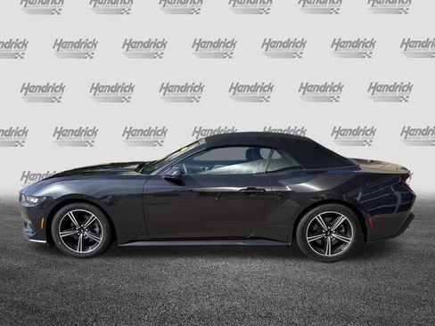 Used 2024 Ford Mustang Convertible RWD image 7