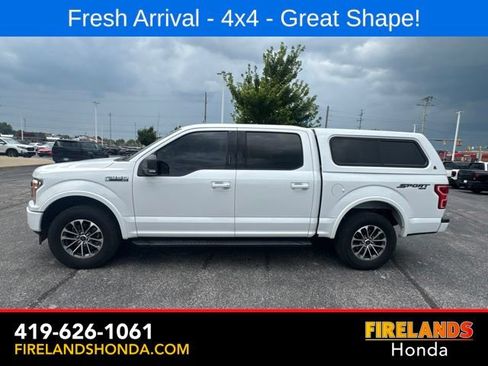 Used 2019 Ford F150 XLT w/ Equipment Group 302A Luxury AWD/4WD image 1