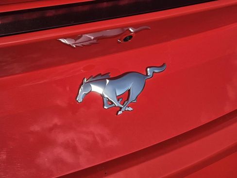 Used 2024 Ford Mustang Premium image 7