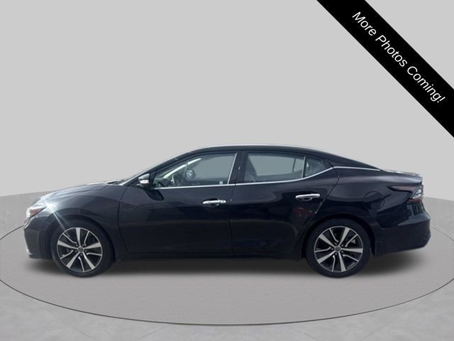 Used 2019 Nissan Maxima 3.5 SV w/ Floor Mat Group FWD image 8