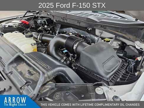 Used 2025 Ford F150 STX w/ Equipment Group 200A RWD image 15