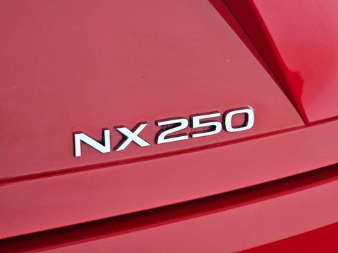 Certified 2025 Lexus NX 250 FWD w/ Premium Package image 13