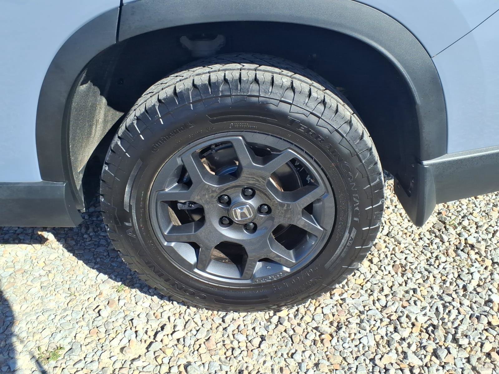 Certified 2025 Honda Pilot TrailSport image 11