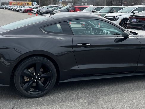 Used 2023 Ford Mustang Premium w/ Mustang Nite Pony Package image 9