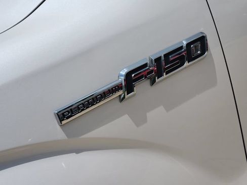 Used 2011 Ford F150 Platinum RWD image 12