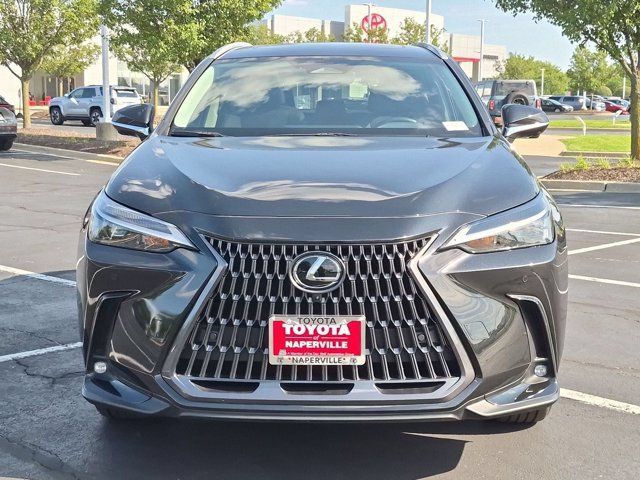 Used 2025 Lexus NX 350 AWD w/ Cold Area Package image 5