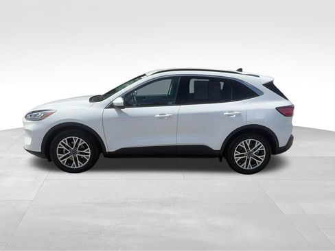 Used 2022 Ford Escape SEL w/ Technology Package FWD image 3