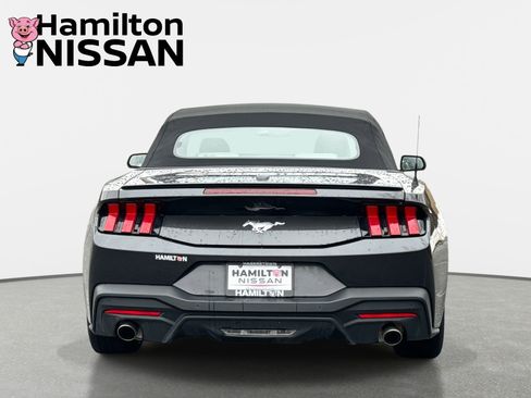 Used 2024 Ford Mustang Premium image 3