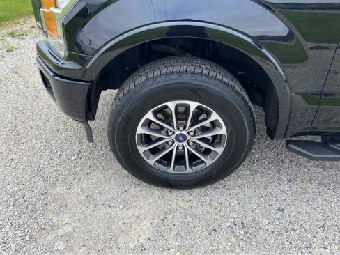 Used 2019 Ford F150 XLT w/ Equipment Group 302A Luxury AWD/4WD image 14