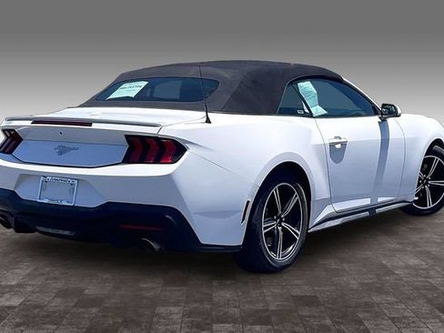 Used 2024 Ford Mustang Premium RWD image 2
