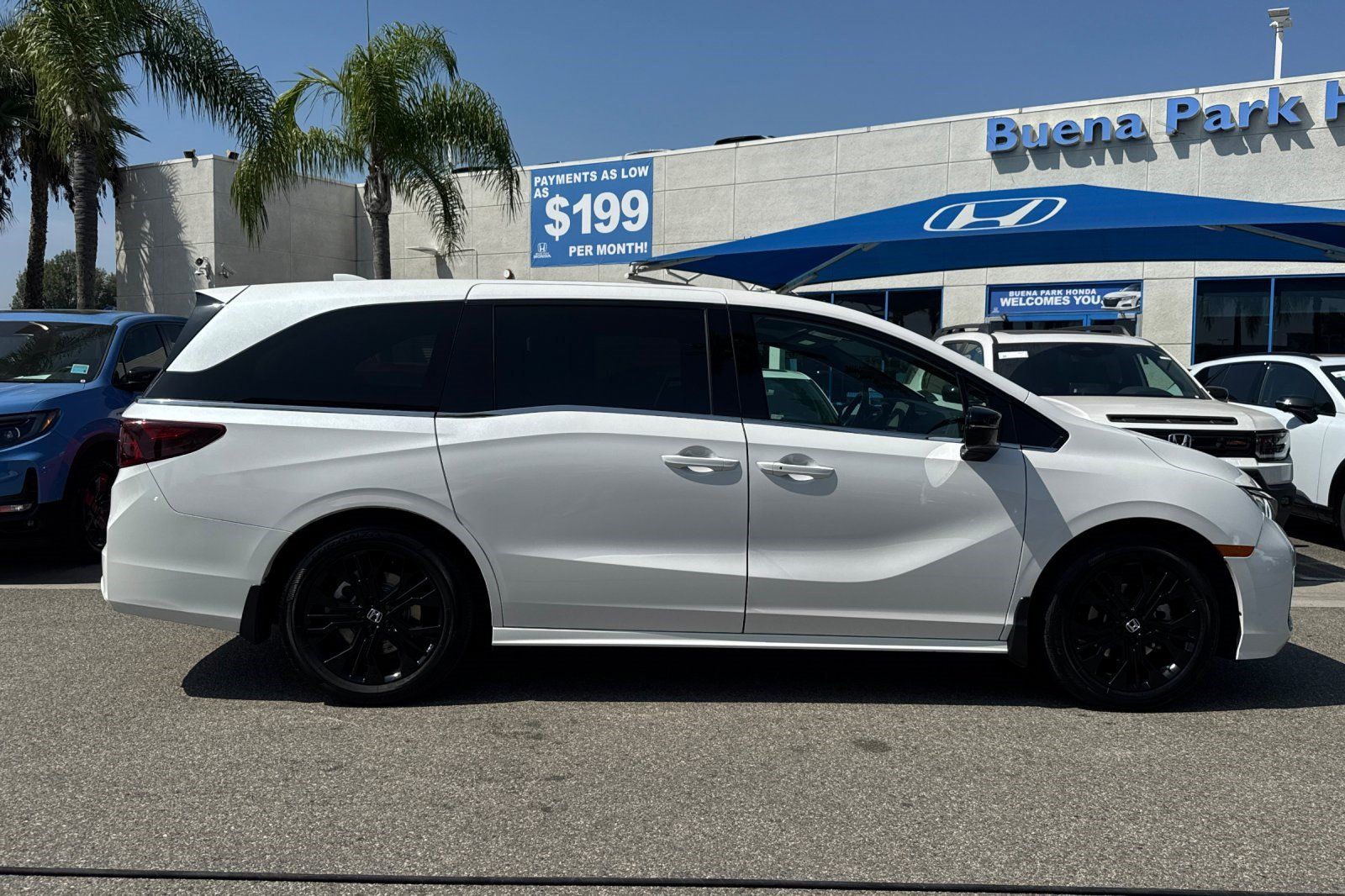 Used 2025 Honda Odyssey Sport-L image 7