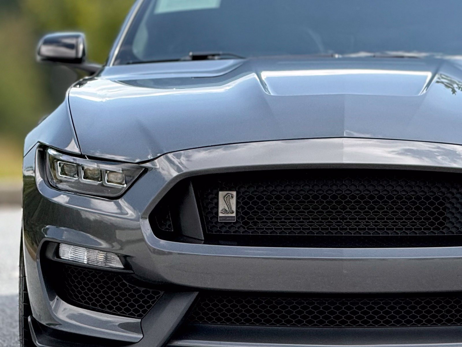Used 2017 Ford Mustang Shelby GT350 RWD image 14