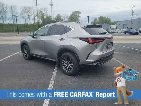 Used 2024 Lexus NX 350 AWD w/ Cold Area Package image 3