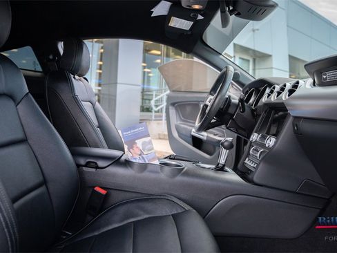 Used 2020 Ford Mustang GT w/ Equipment Group 301A image 10
