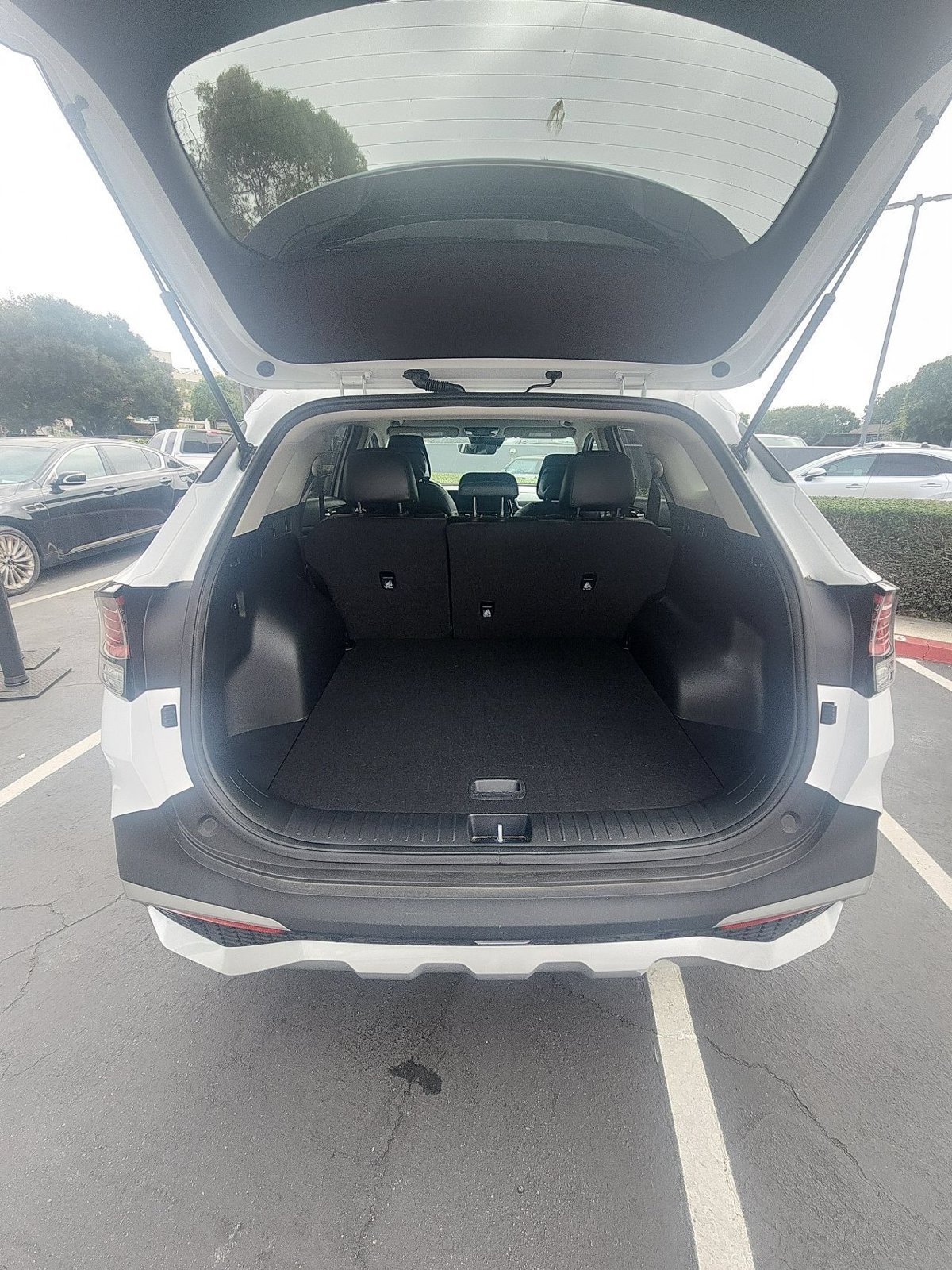 Used 2024 Kia Sportage EX FWD image 5