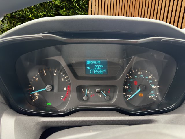 Used 2019 Ford Transit 250 130 Low Roof RWD image 18
