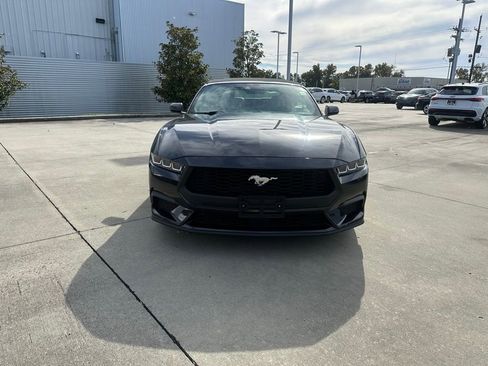 Used 2024 Ford Mustang Premium image 2
