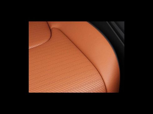 New 2026 Kia Carnival SX Prestige image 24