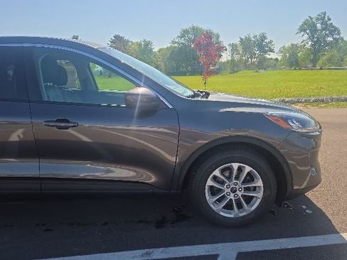 Used 2020 Ford Escape SE FWD image 4