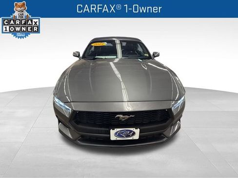 Used 2025 Ford Mustang Premium RWD image 2