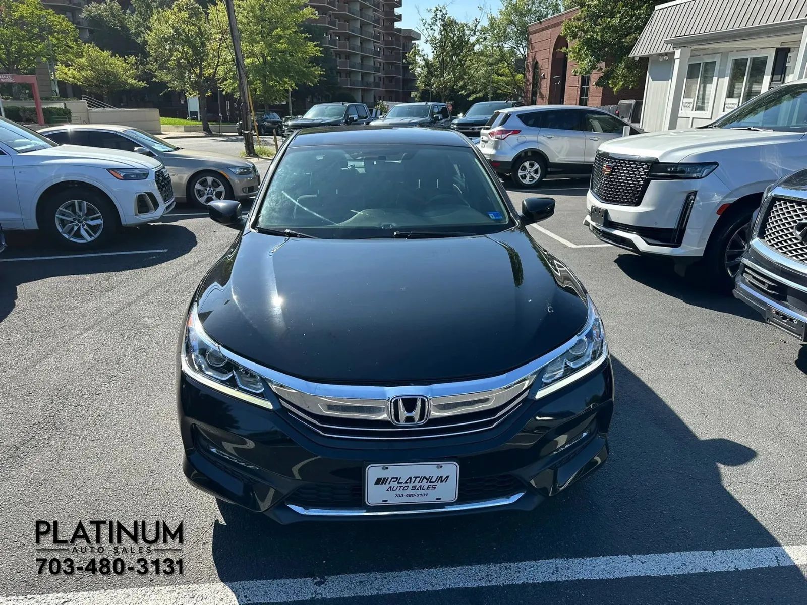 Used 2017 Honda Accord Sport image 4
