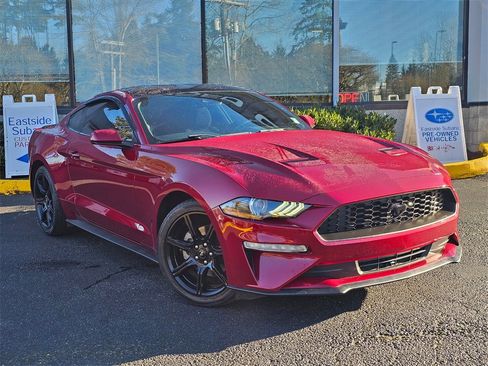 Used 2019 Ford Mustang EcoBoost w/ Ford Safe & Smart Package image 1