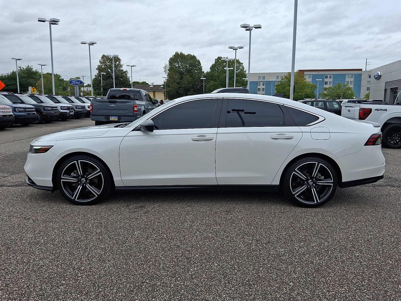 Used 2025 Honda Accord Sport image 6