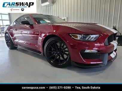 Used 2017 Ford Mustang Shelby GT350