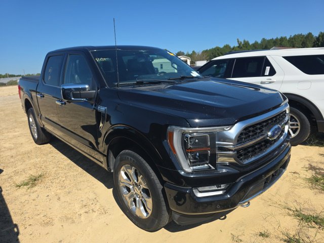 Used 2023 Ford F150 Platinum w/ Equipment Group 701A High AWD/4WD image 6