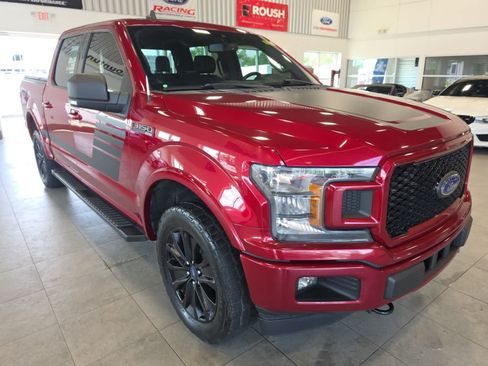 Used 2019 Ford F150 XLT w/ Equipment Group 302A Luxury AWD/4WD image 5