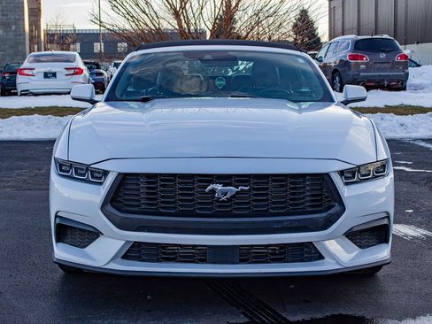 Used 2024 Ford Mustang Premium image 2