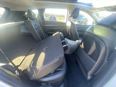 New 2024 Hyundai Tucson Limited image 15