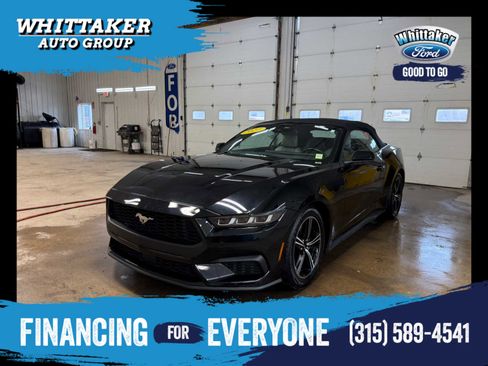 Used 2024 Ford Mustang Premium image 1