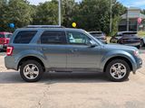 Used 2011 Ford Escape Limited w/ 302A Rapid Spec Order Code image 5
