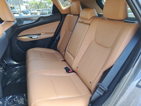 Used 2025 Lexus NX 250 FWD w/ Cold Area Package image 15