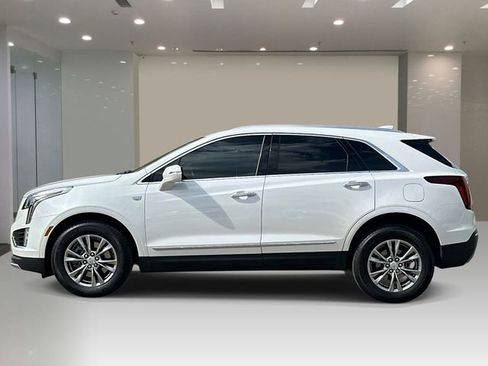 Used 2023 Cadillac XT5 Premium Luxury AWD/4WD image 2
