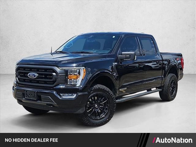 Used 2023 Ford F150 XLT w/ Equipment Group 302A High AWD/4WD image 1